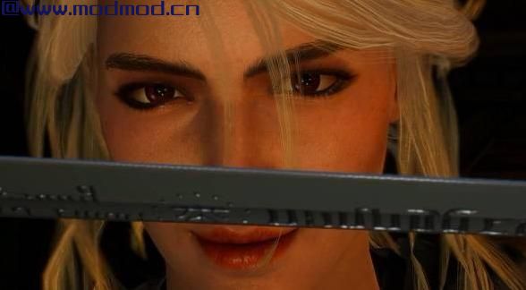 Ciri Face 4k Retextures New Makeup（希里4K级面部纹理）