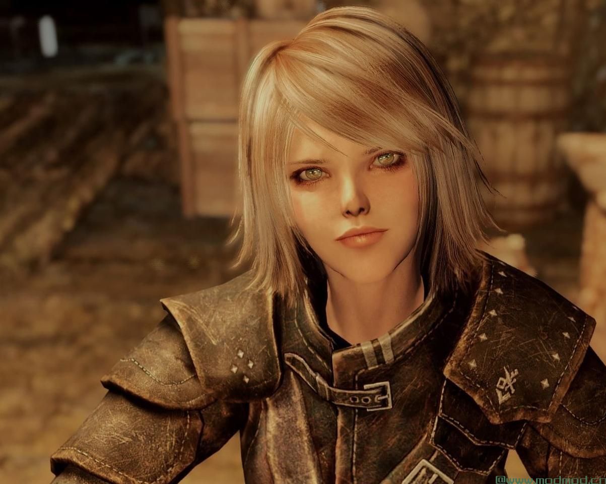 上古卷轴5：天际MOD 盗贼公会+阿斯垂德+天际之子乌弗瑞克 5人美化