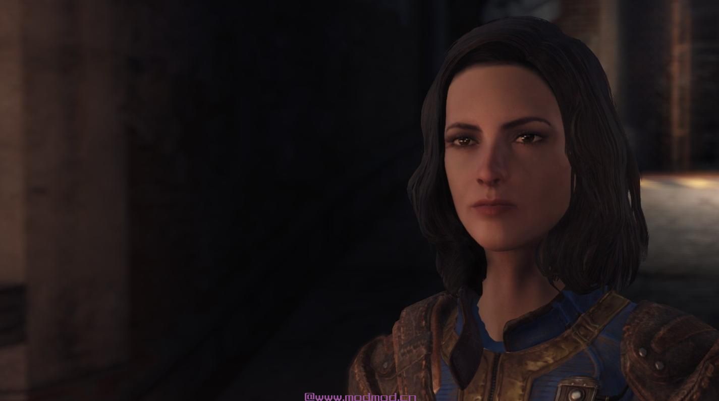 辐射4MOD Nora Spouse Companion