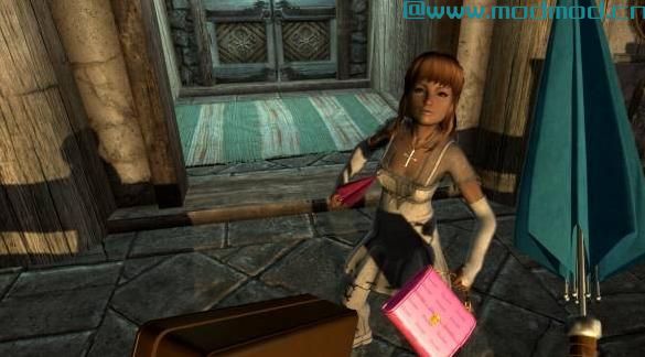 上古卷轴5：天际MOD 手提包系列 V1.4