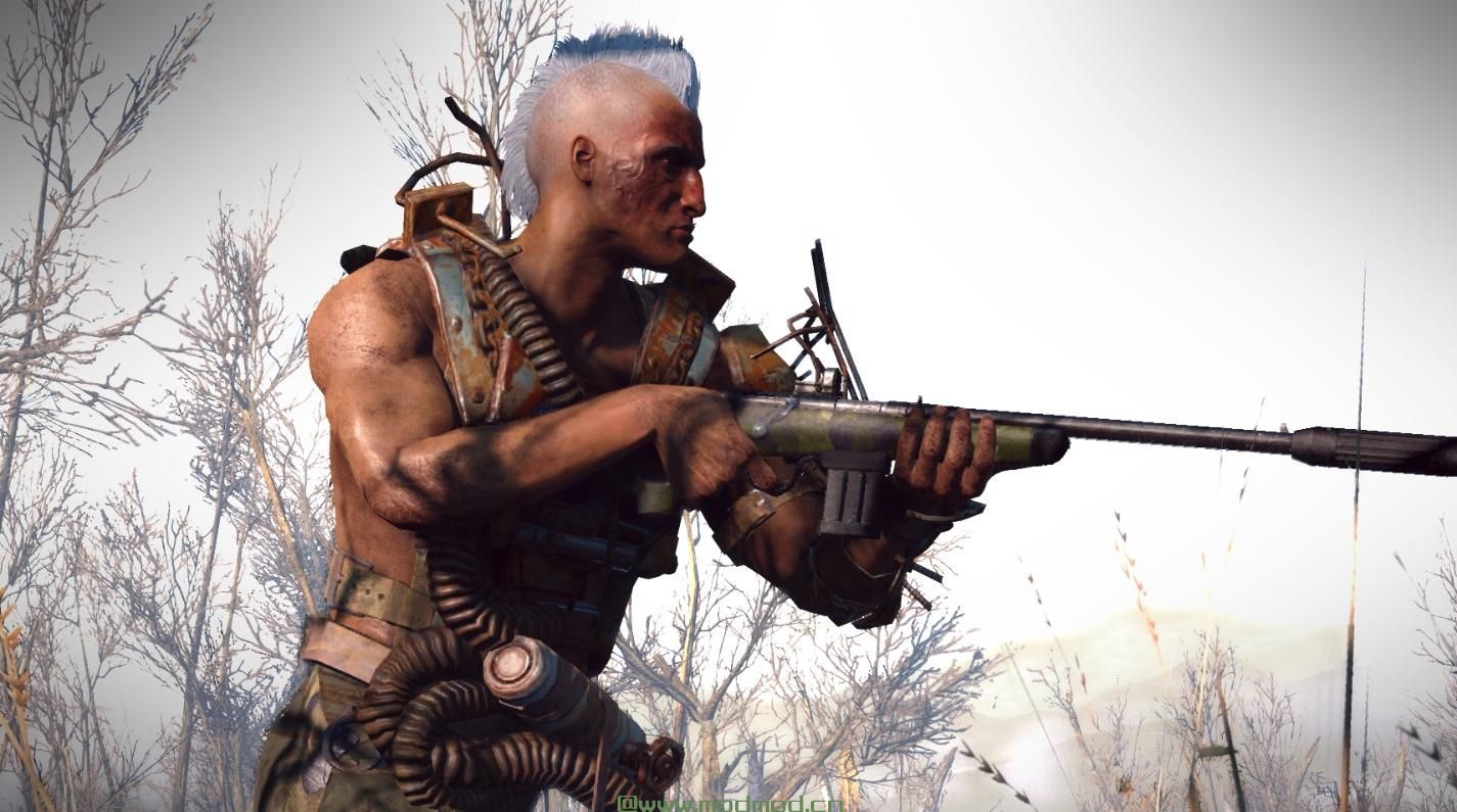 辐射4MOD Varmint Rifle  - 回归