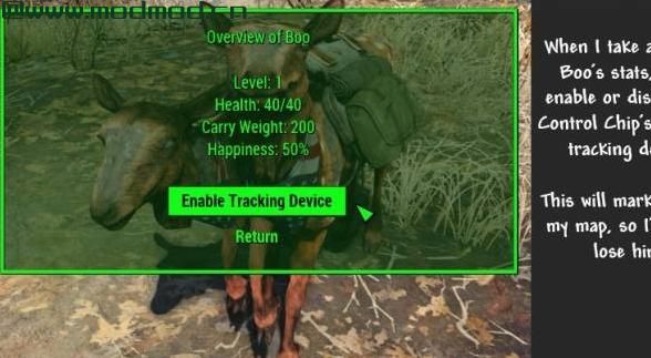 野兽大师 - 生物伴侣大修