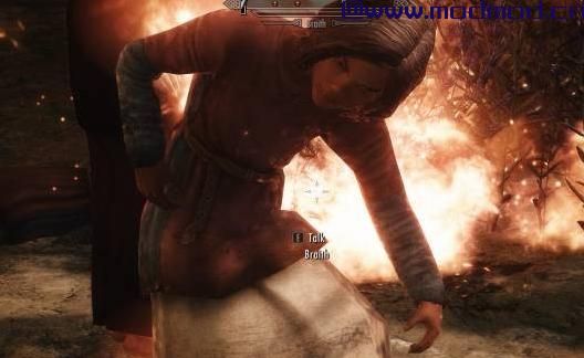 上古卷轴5：天际MOD RS熊小孩美化 V1.1.0