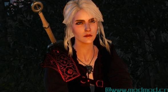 Ciri Face 4k Retextures New Makeup（希里4K级面部纹理）