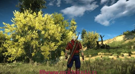 巫师3：狂猎MOD DLC Undvik裤子的蓝色和皮革Retexture