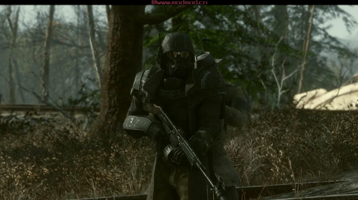 辐射4MOD 突击步枪44-STG44