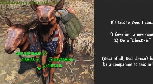 野兽大师 - 生物伴侣大修