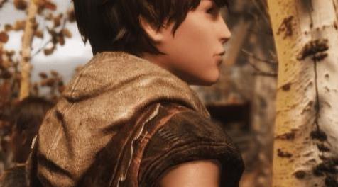 上古卷轴5：天际MOD RS熊小孩美化 V1.1.0