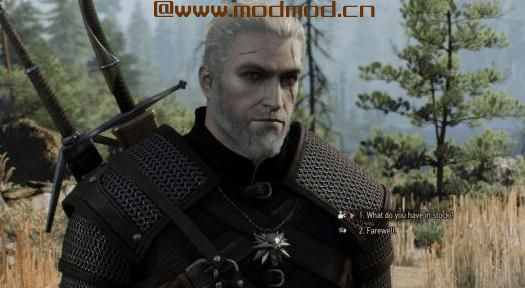 巫师3：狂猎MOD 最后的时代ReShade（Beta）