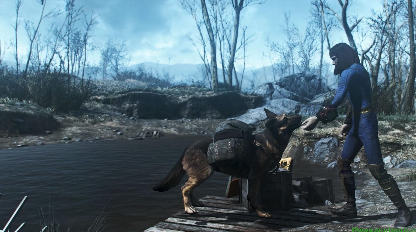 辐射4MOD Dogmeat的背包