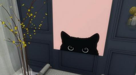 模拟人生4MOD All Cats Canvas 猫挂饰