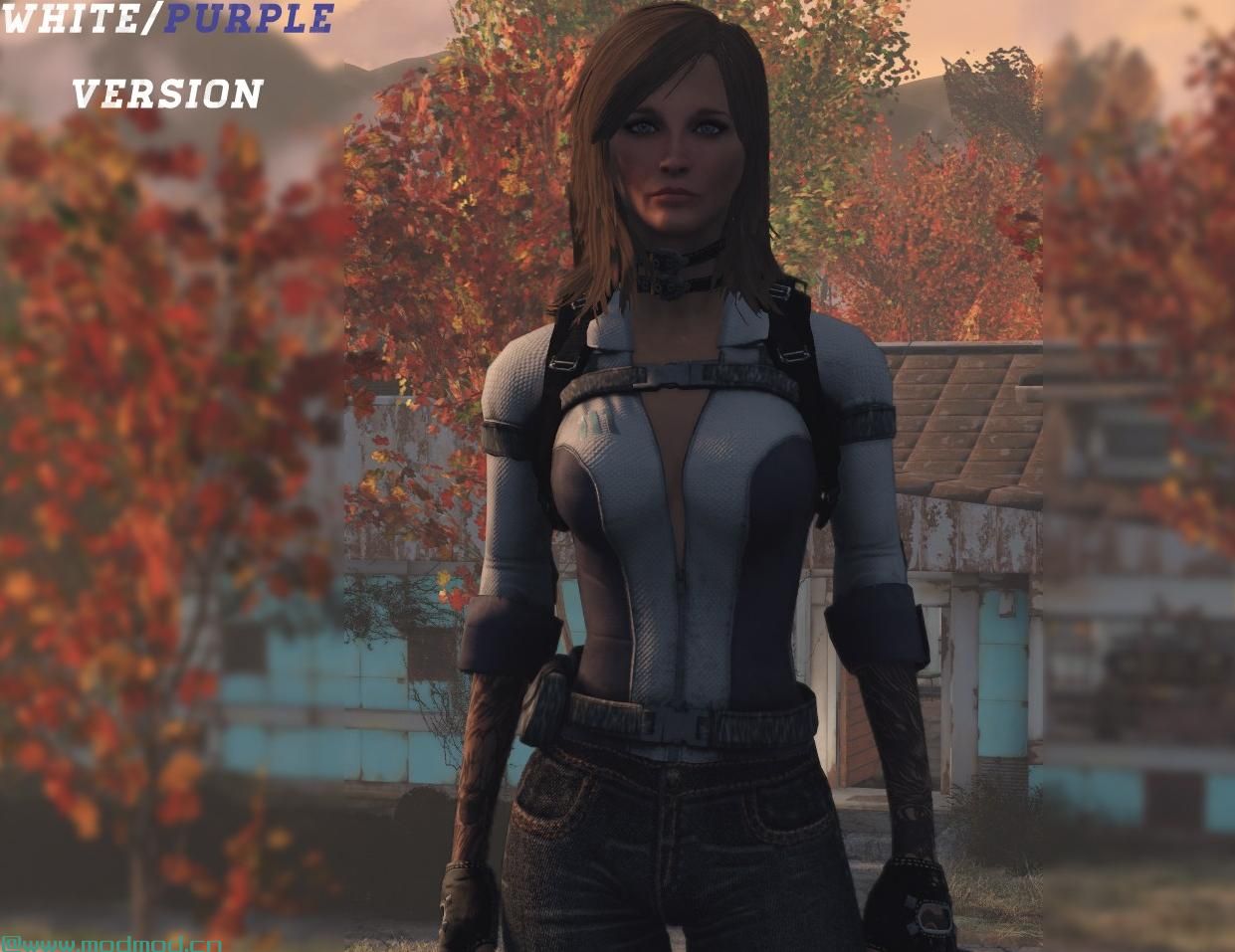 Vault Explorer  - 服装混搭