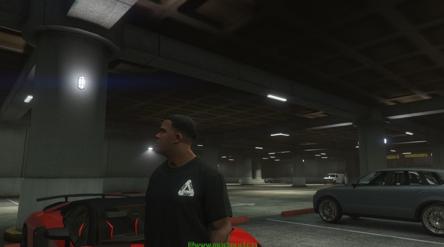 侠盗猎车手5「GTA5」Mod: Palace OG Tri-Ferg T恤