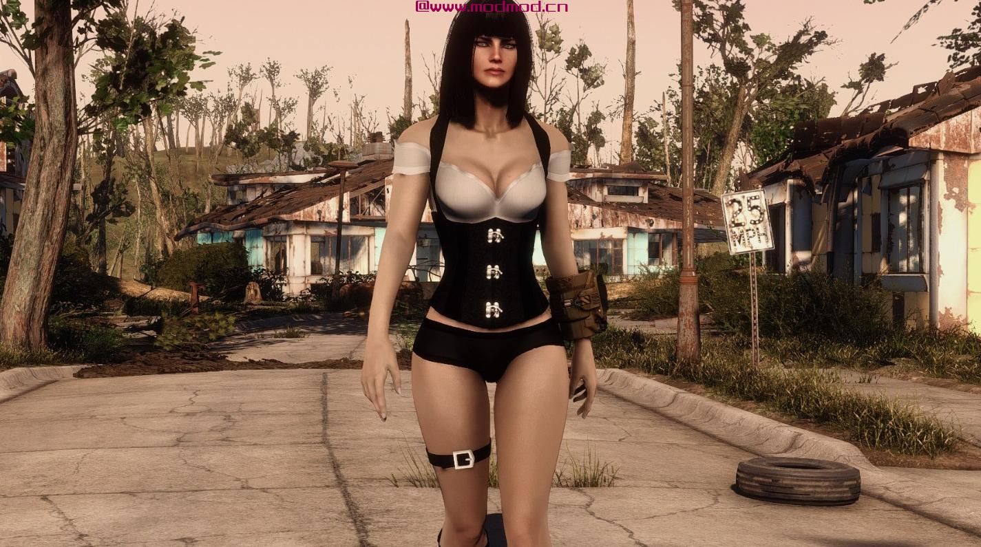 Ashara FO4蒸汽朋克女士 -  CBBE  -  BodySlide