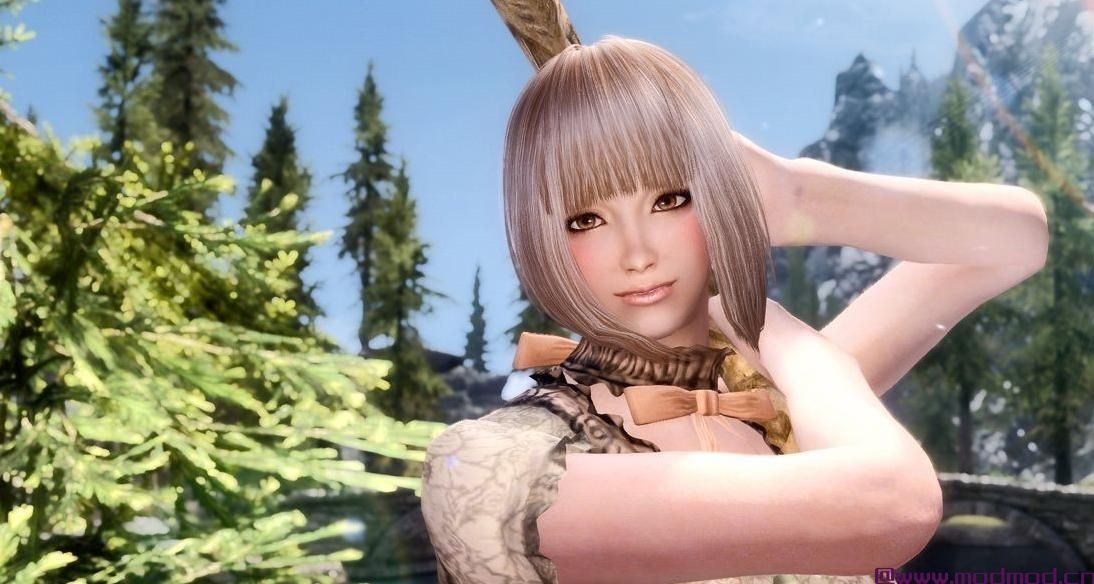 上古卷轴5：天际MOD Millepon Healer Follower----Millepon治疗师随从