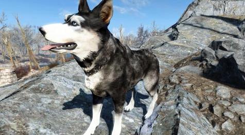 辐射4MOD 暗影黑暗赫斯基同伴