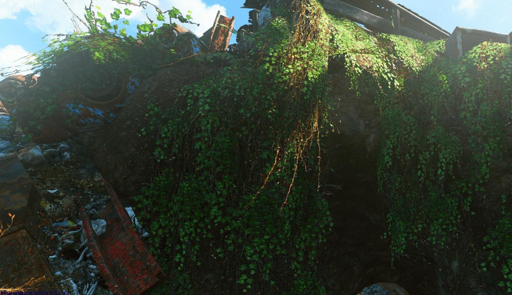 Tookie的纹理 - 草和植物