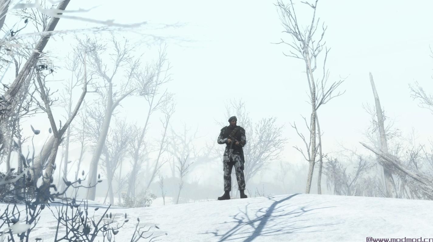 辐射4MOD NCR Patrolman和Trooper Armors