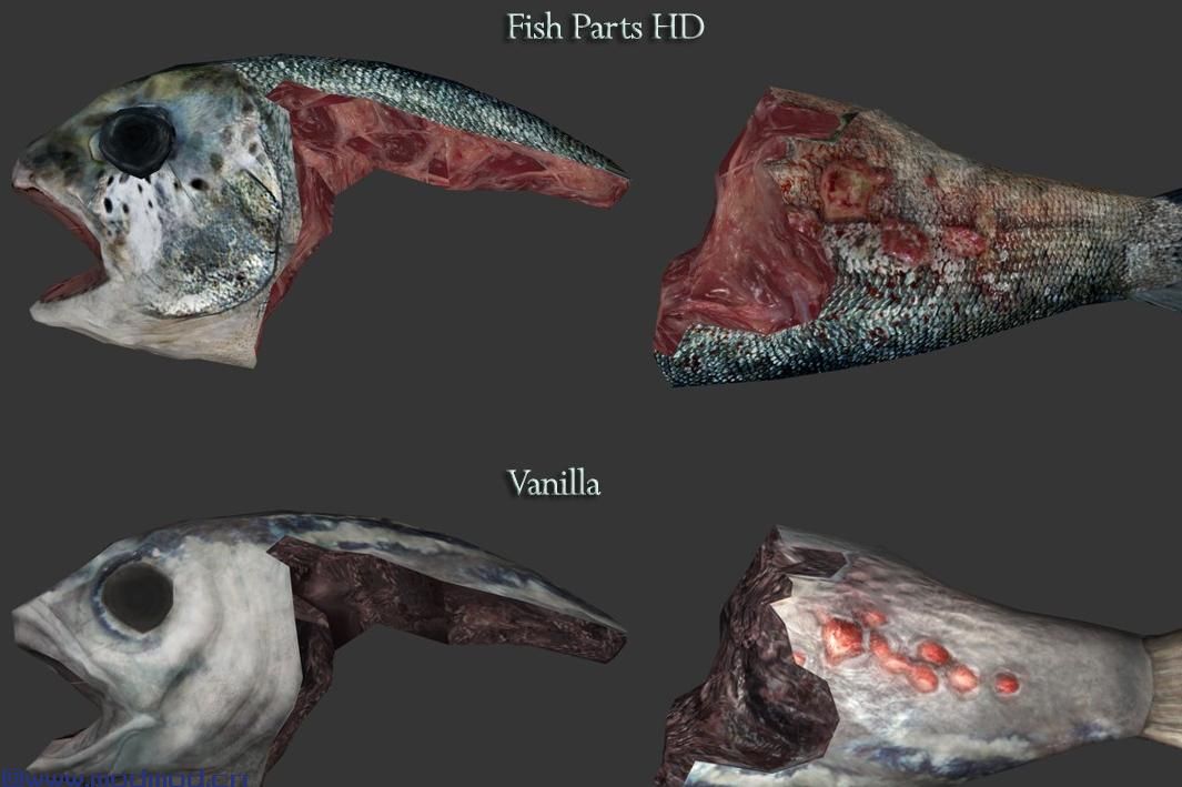 令人愉快的死鱼 - 英联邦和远港DLC的高清改造