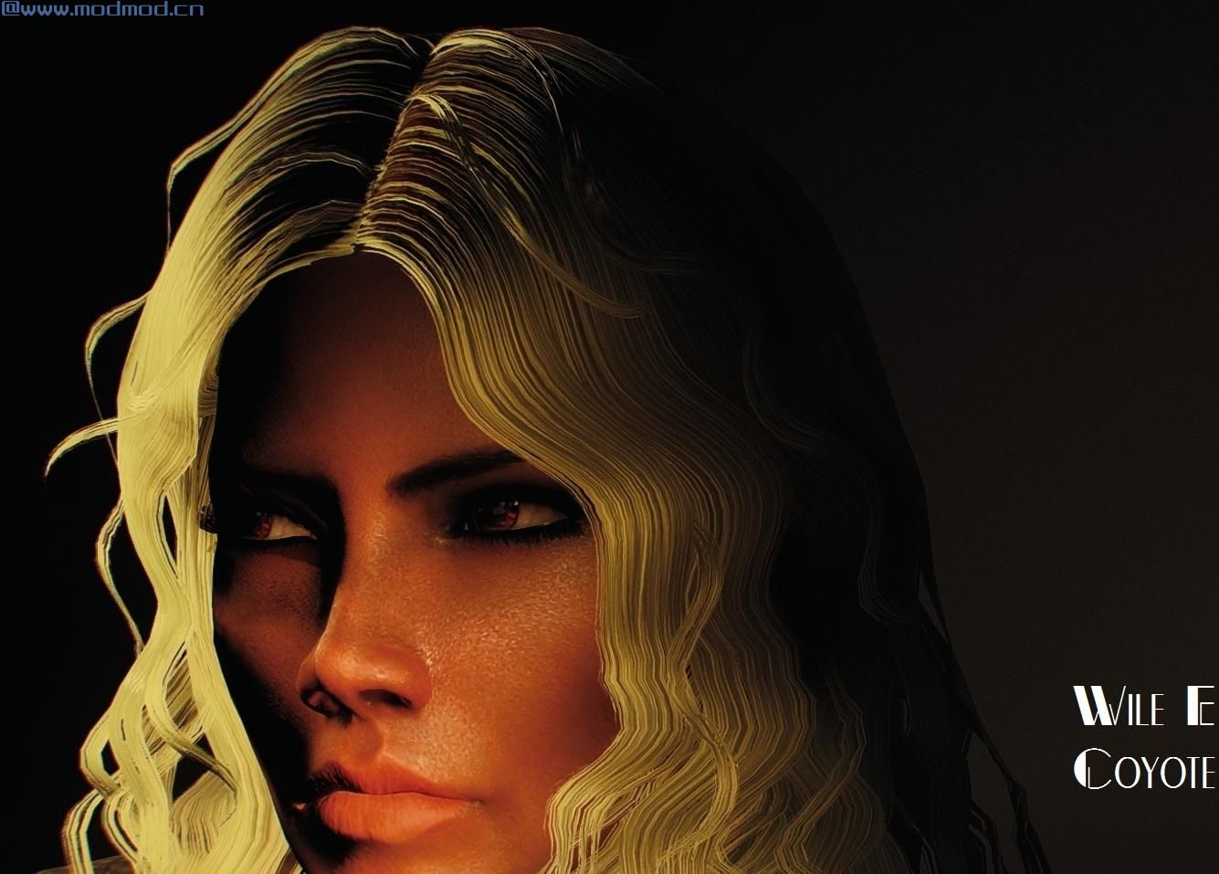 辐射4MOD 512个独立发色（1个ESP）