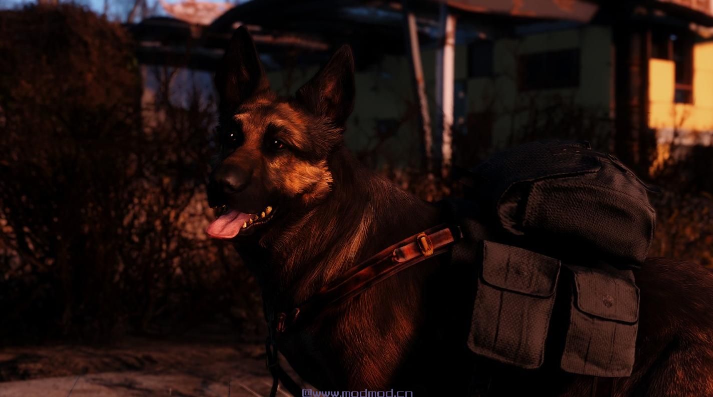 Grim Wolf ReShade和ENB Presets