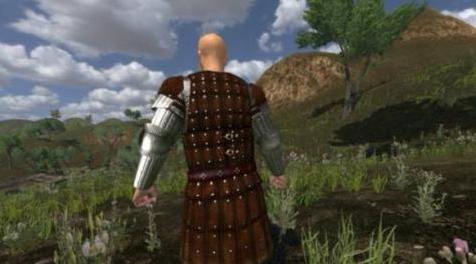 骑马与砍杀MOD SSH huscarl armour 盔甲