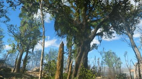 辐射4MOD Tookie的纹理 - 草和植物