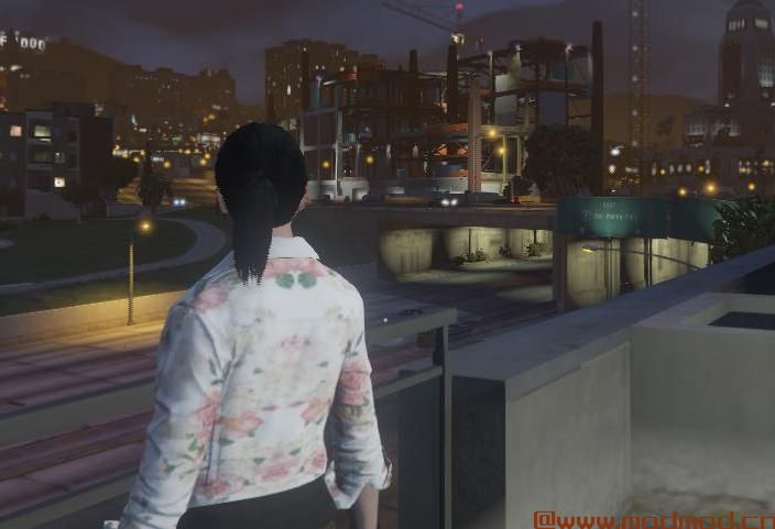 侠盗猎车手5「GTA5」Mod: Freemode女性花卉西装外套