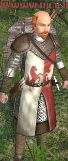 骑马与砍杀MOD heraldic_armors_zagibu 纹章战袍