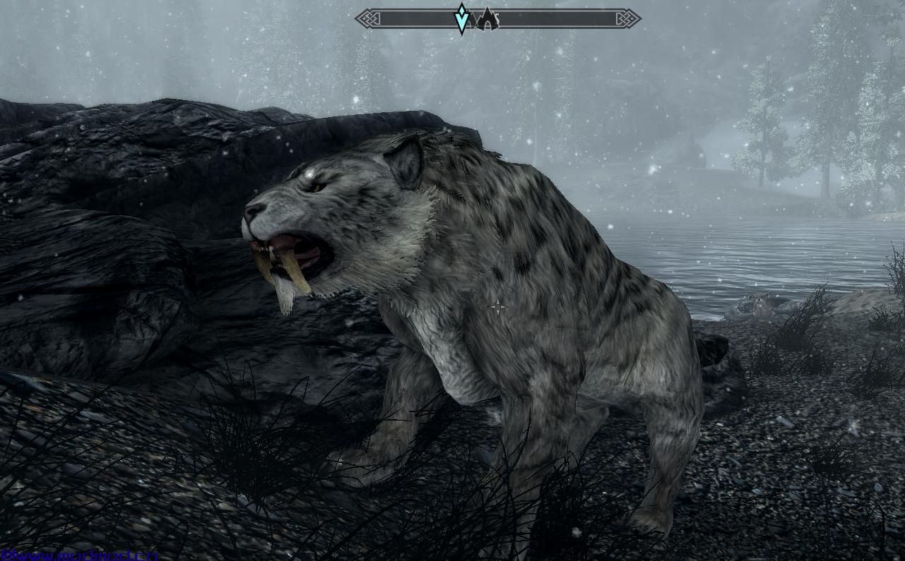 上古卷轴5：重置版MOD Snowvak  -  Sabrecat随从