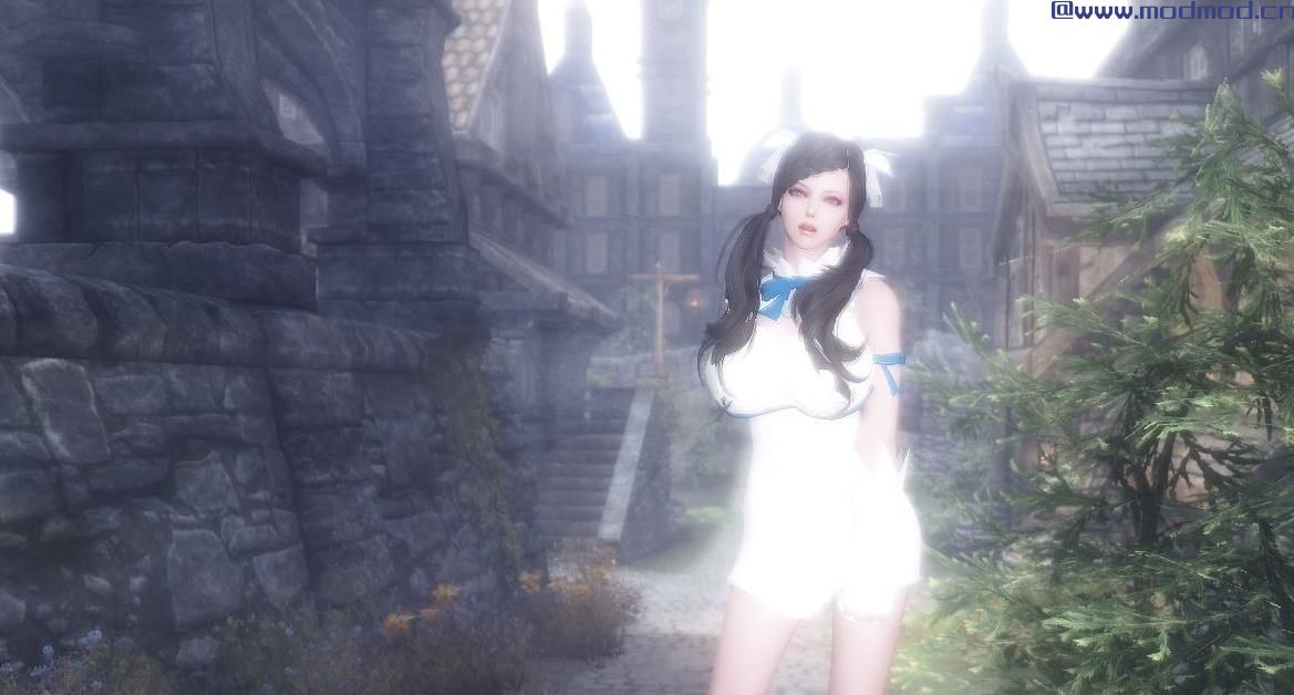 上古卷轴5：天际MOD  【Woodsnow&reg;改衣店天际分店 Hestia outfit CBBE-HDT和Bodyslide化】