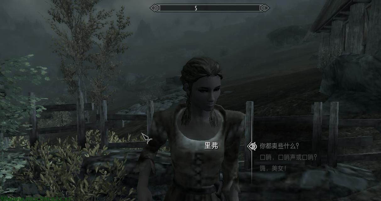 上古卷轴5：天际MOD 驿站