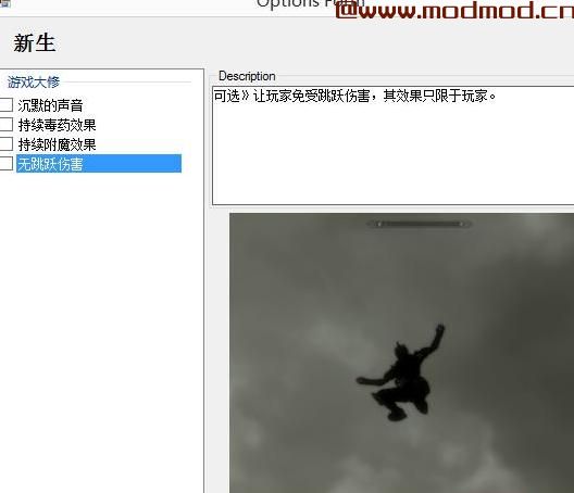 新生NMM安装包