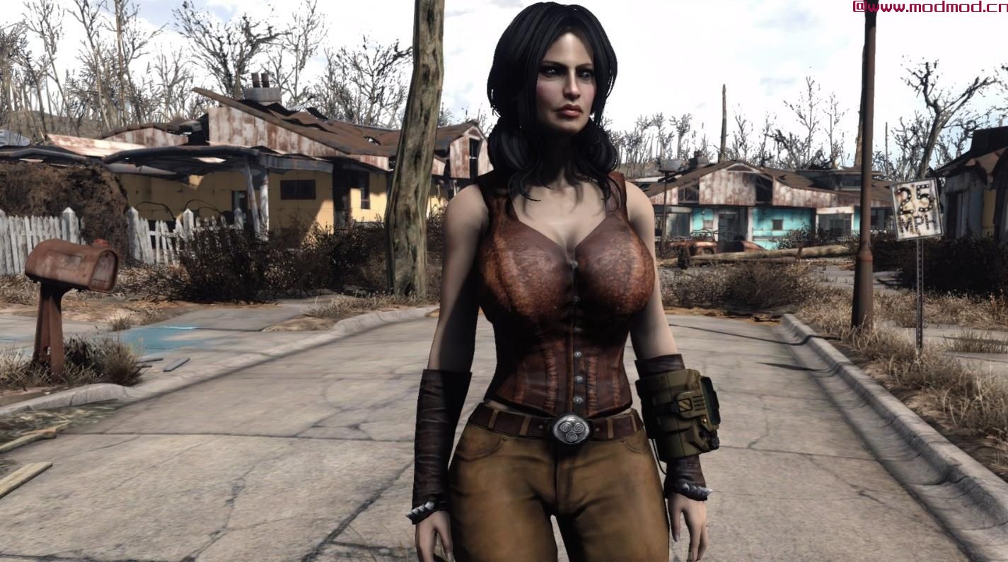 辐射4MOD TIE’s Vanilla Outfits CBBE Bodyslide Re - Conversions