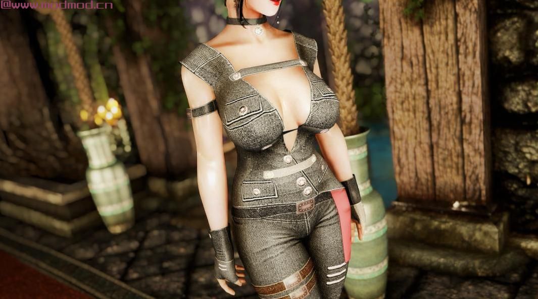 上古卷轴5：重置版MOD Ov Thief Armor  -  CBBE BodySlide