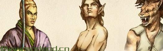 上古卷轴5：重置版MOD 泰姆瑞尔的种族 - 黑暗天际大修系列