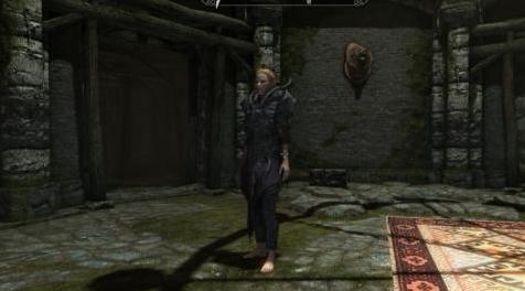 上古卷轴5：重置版MOD 女性法尔默重装甲修复