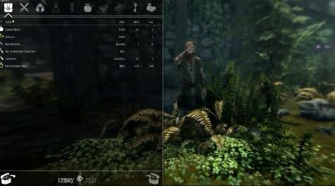 上古卷轴5：重置版MOD 随从Mod