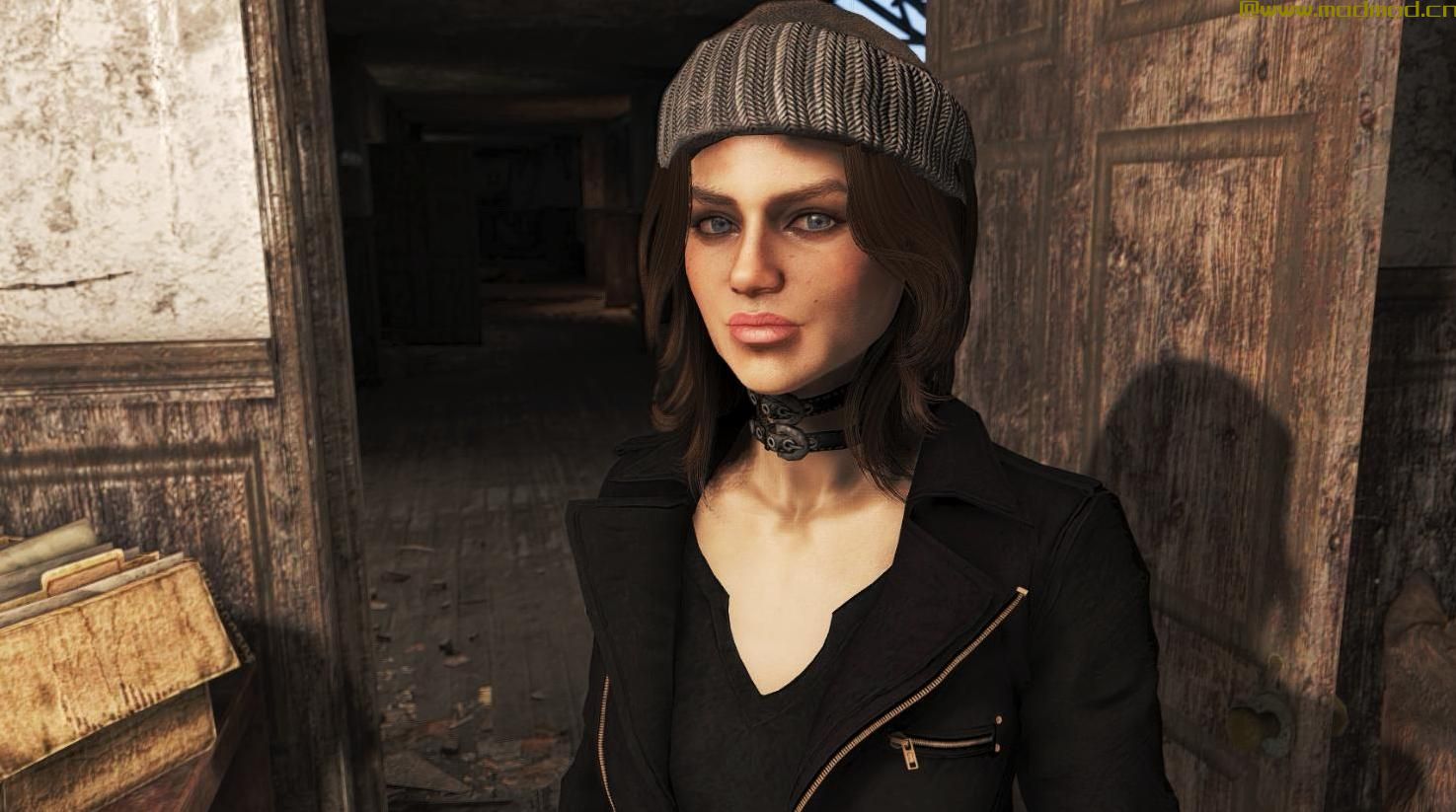 辐射4MOD LooksMenu的风景如画的预设