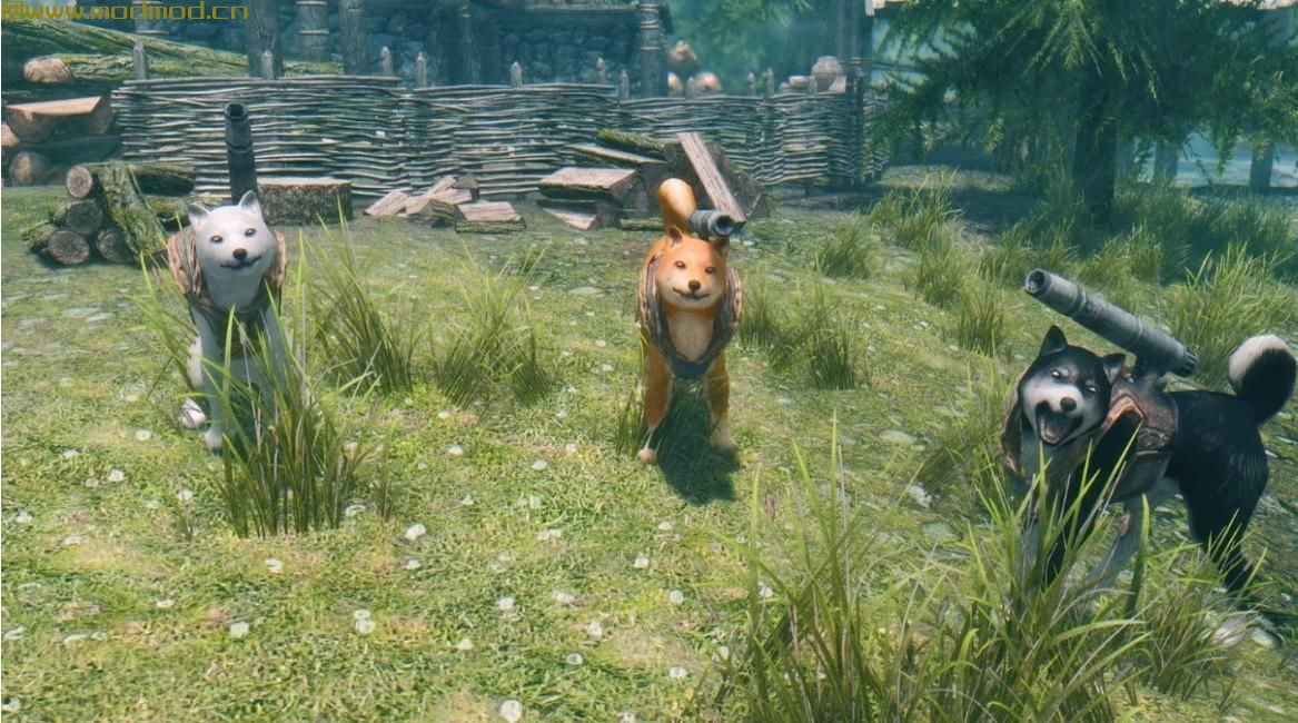 上古卷轴5：天际MOD 加农炮犬