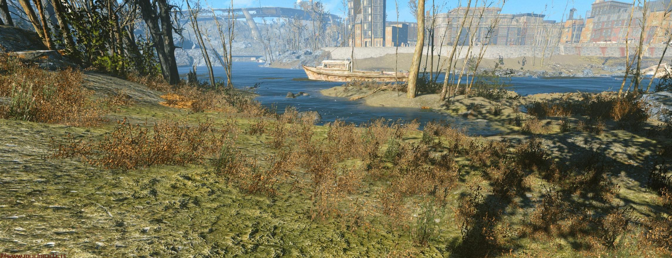 Tookie的纹理 - 草和植物