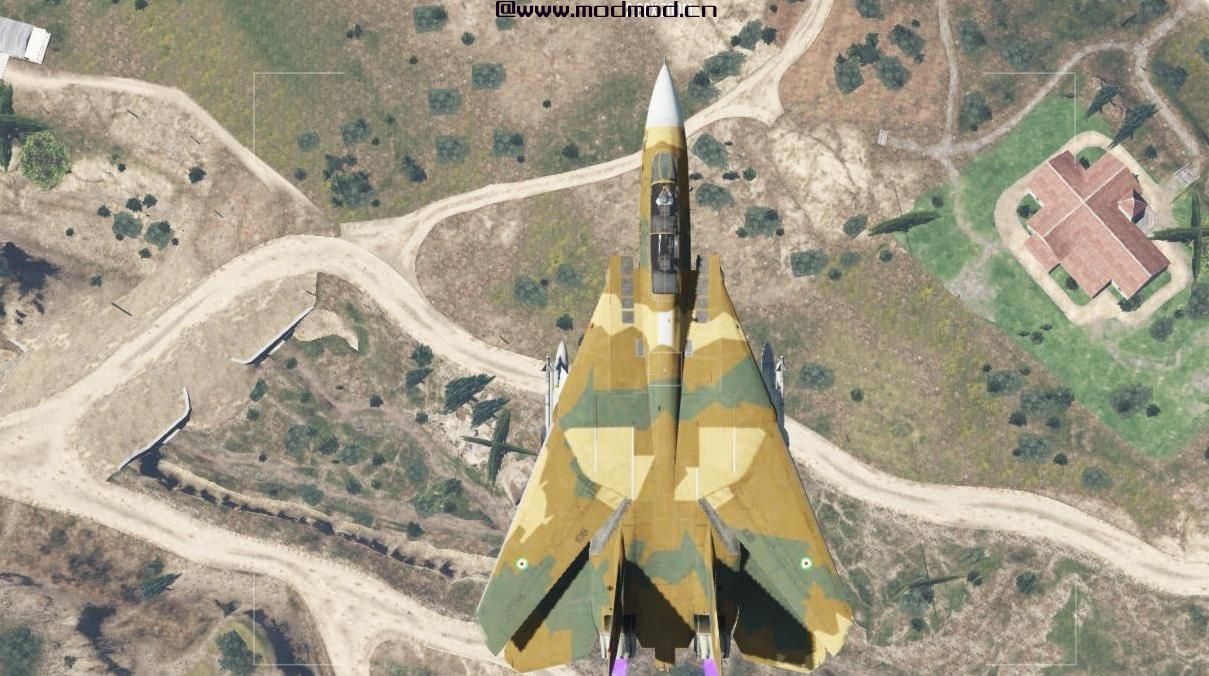 侠盗猎车手5「GTA5」Mod: 伊朗空军F-14A（IRIAF）皮肤