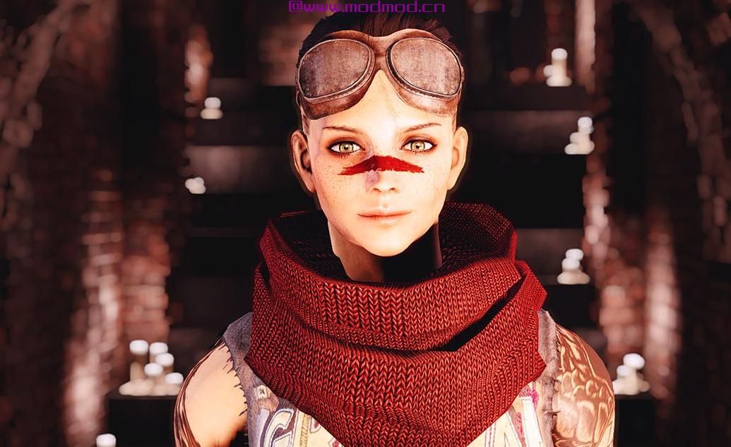 辐射4MOD 天启配件 - 眼镜 - 围巾 - 包