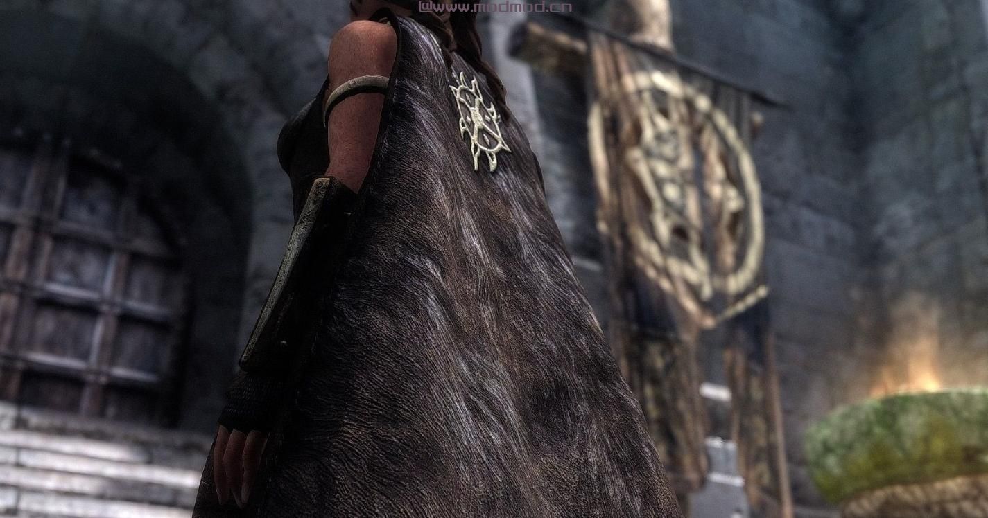 上古卷轴5：天际MOD 某大神作品 Gwelda Dawnguard Armor UNPB BBP