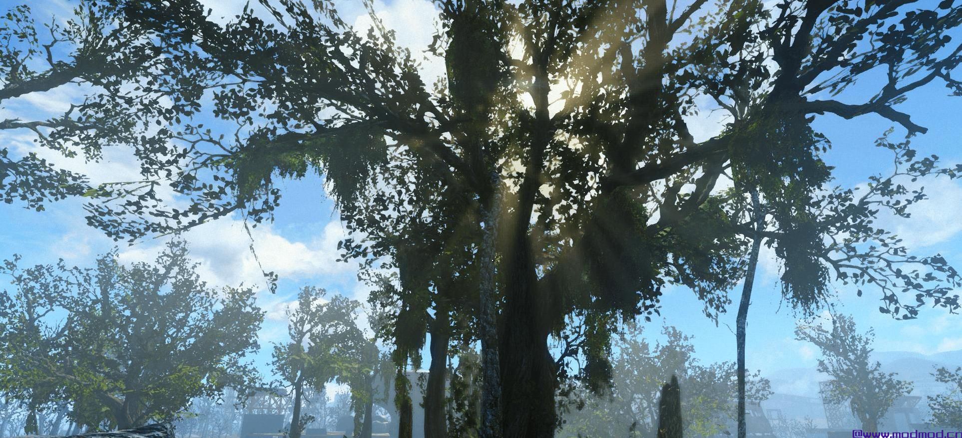 Tookie的纹理 - 草和植物