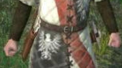 骑马与砍杀MOD heraldic_armors_zagibu 纹章战袍