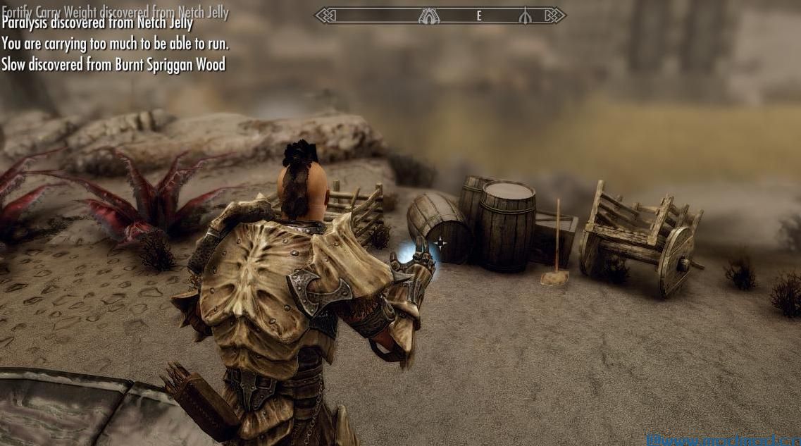 上古卷轴5：重置版MOD ElSopa  - 彩色SkyUI有效效果图标SE