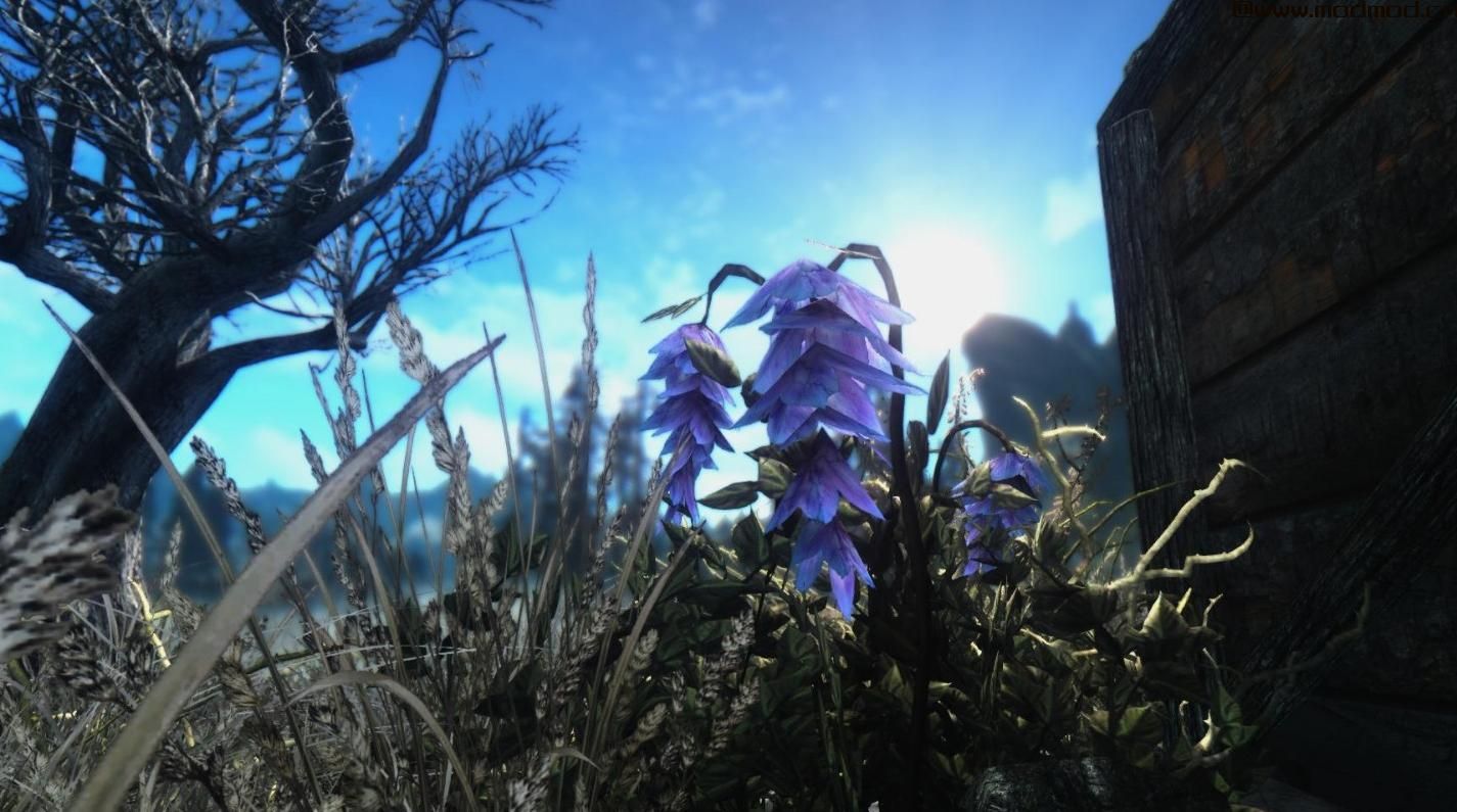 养眼亮丽风格ENB力作RealLike ENB2.6