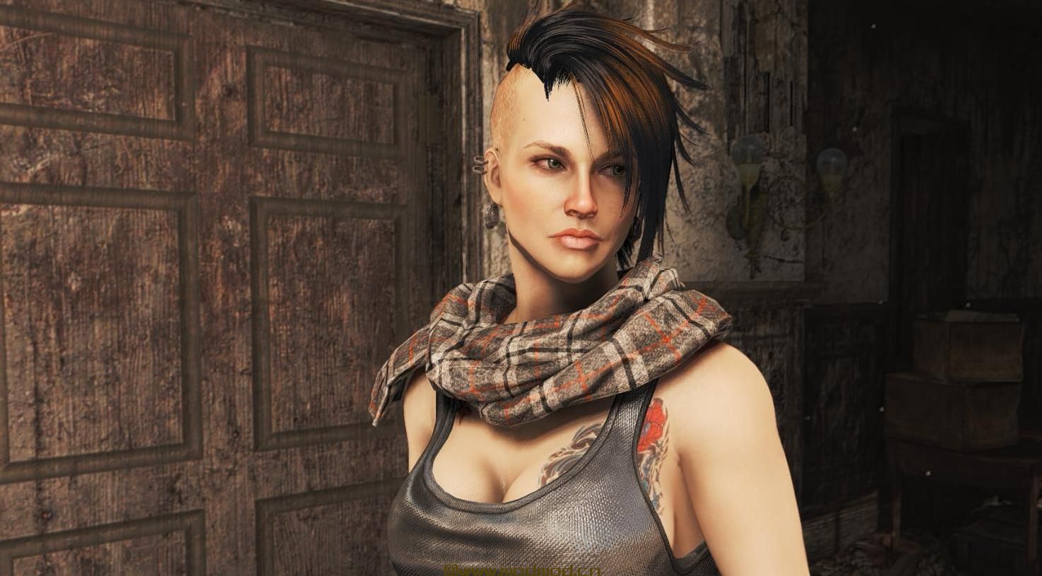 辐射4MOD LooksMenu的风景如画的预设