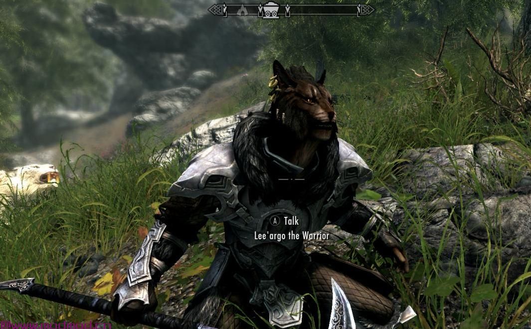 上古卷轴5：重置版MOD Lee&rsquo;Argo the Warrior  - 一个Khajiit随从